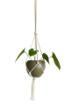 IMG_20200105_133327-removebg-preview.png