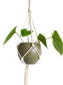 IMG_20200105_133314-removebg-preview.png