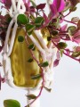 IMG_20201001_202939.jpg