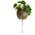 IMG_20201014_130720-removebg-preview.png
