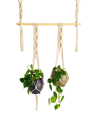 1621517792372-removebg-preview.png