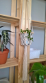 WP_20180514_16_00_51_Rich.jpg