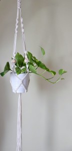 Kwietnik wiszący - Naturalny Koral duży