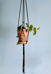 Kwietnik Zieleń butelkowa