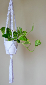 Kwietnik Biały z koralami