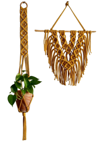 zestaw musztardowy bez tła.png