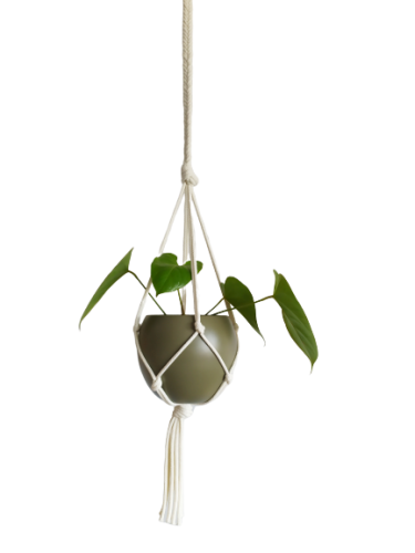 IMG_20200105_133327-removebg-preview.png