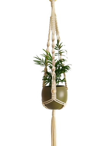 IMG_20201008_141818-removebg-preview.png