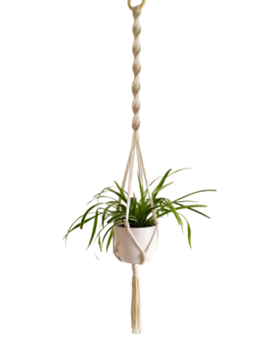 IMG_20200224_132503-removebg-preview pr.png