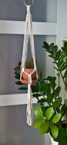 WP_20180207_15_38_48_Pro.jpg