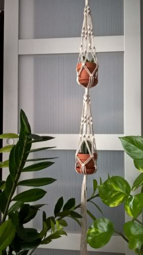 WP_20180218_14_46_06_Rich.jpg