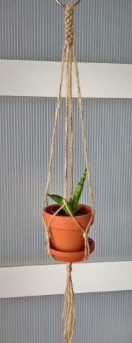 WP_20180218_13_54_38_Rich.jpg