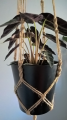 WP_20180426_08_35_17_Rich.jpg