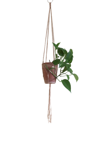 IMG_20191217_131624-removebg-preview.png