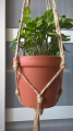 WP_20190106_12_24_05_Pro.png