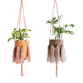 IMG_20190916_190019-removebg-preview.png