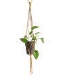 IMG_20191111_131919-removebg-preview-roz.png