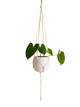 IMG_20200120_194040-removebg-preview.png