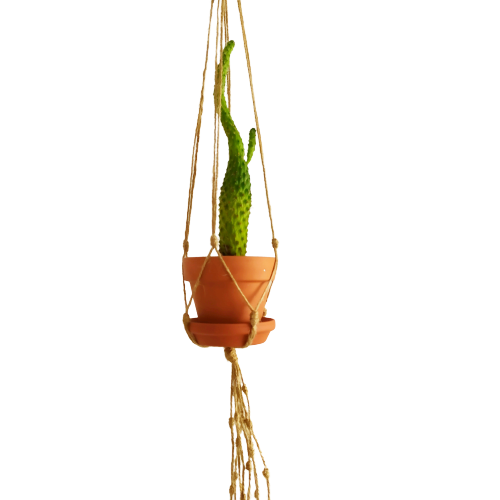IMG_20200224_125423-removebg-preview.png