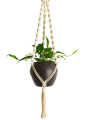 IMG_20200412_151737-removebg-preview.png