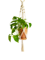 IMG_20200411_162650-removebg-preview.png