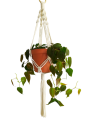 IMG_20200411_140859-removebg-preview.png