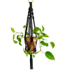 IMG_20200411_192432-removebg-preview.png
