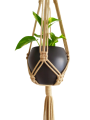 IMG_20201015_173409-removebg-preview.png