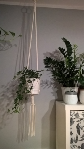 Kwietnik Naturalny