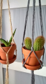 WP_20180218_13_51_57_Rich.jpg