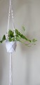 DSC_0028mnij.jpg