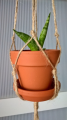 WP_20180218_13_55_36_Rich.jpg