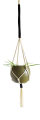 IMG_20200207_164355-removebg-preview.png
