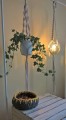 Kwietnik Flower HENDI natural 3 - www_shoplight_pl - 3.jpg