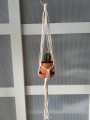 Mini kwietnik 2 -m.jpg