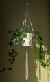 Kwietnik Flower naturalny korale 2 - www_shoplight_pl 1.jpg