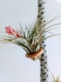 IMG-20180919-WA0003.jpg