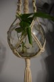 Kwietnik wiszący naturalny - www_shoplight_pl 3.JPG