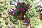 Wiszący kwietnik jutowy - Flower HENDI - na zewnątrz