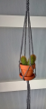WP_20180218_13_53_44_Rich.jpg