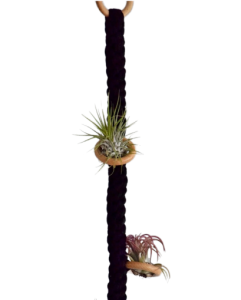 Kwietnik makrama wiszący - Oplątwa(Air plant) - Czarny