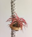 IMG-20180919-WA0000.jpg