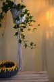 Kwietnik Flower HENDI natural 3 - www_shoplight_pl - 2.JPG