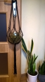 WP_20180102_14_20_46_Rich.jpg