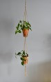 DSC_0021.jpg