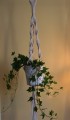 Kwietnik Flower HENDI natural 3 - www_shoplight_pl - 1.JPG