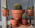 WP_20180218_14_20_35_Rich.jpg