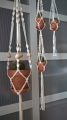 WP_20180209_15_32_30_Rich1.jpg