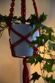 Kwietnik Flower HENDI - red 3 - www_shoplight_pl 1.JPG