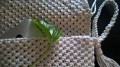 WP_20180625_13_43_15_Rich.jpg
